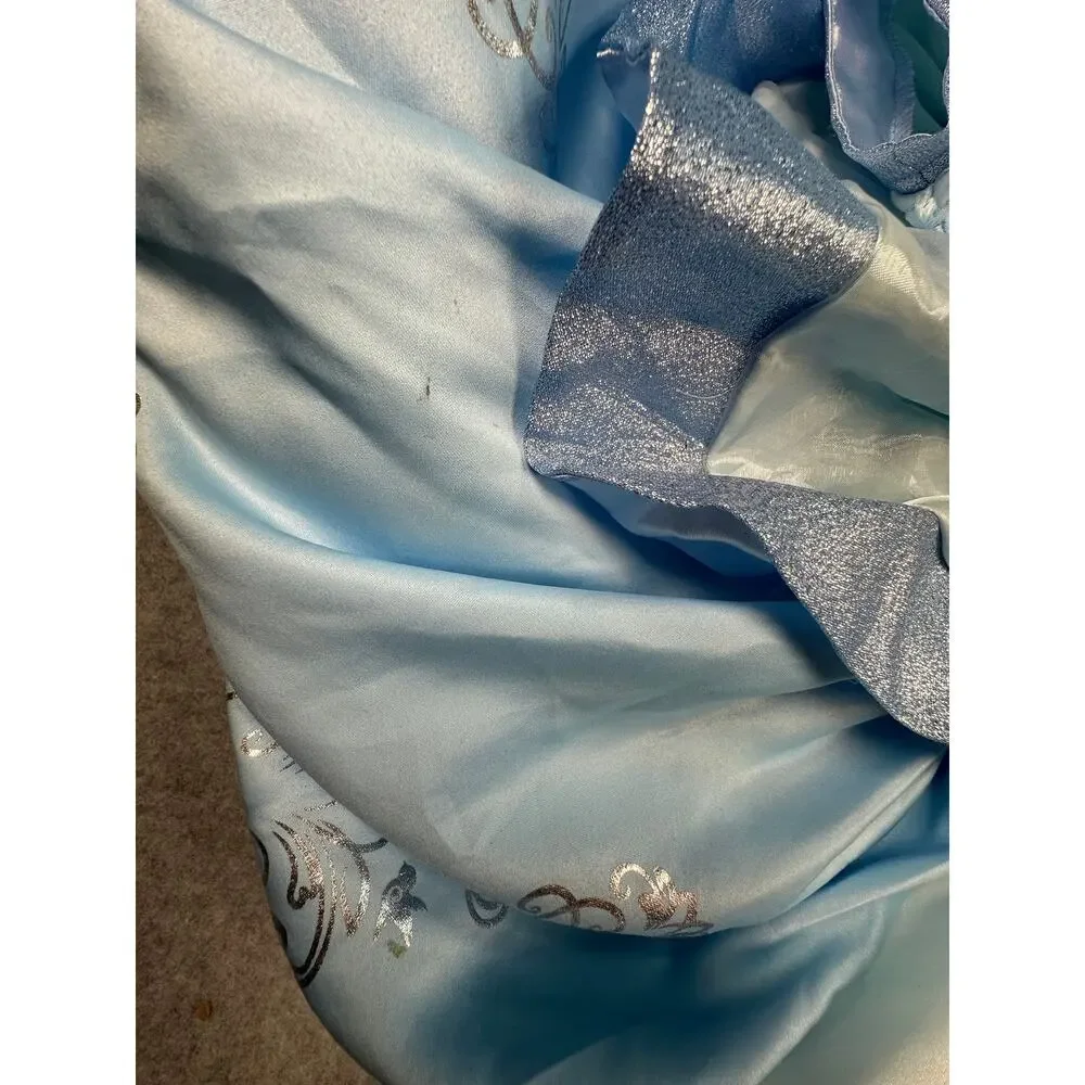 Disney Princess Cinderella Costume Gown Foil Carriage Sparkle Glitz